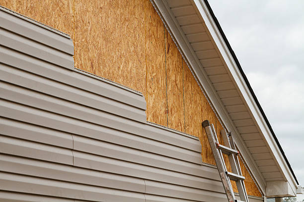 Professional Siding Inspection technician working in Rochester, IL